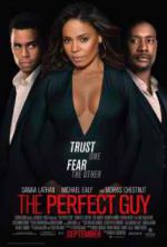 Watch The Perfect Guy Freemovieswatch