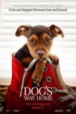 Watch A Dog's Way Home Freemovieswatch