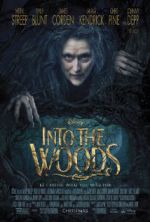 Watch Into the Woods Freemovieswatch