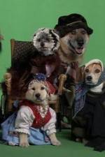 Watch Heidi 4 Paws Freemovieswatch