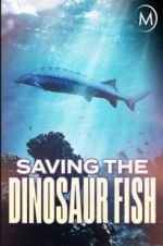 Watch Saving the Dinosaur Fish Freemovieswatch