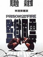 Watch Prison on Fire Freemovieswatch