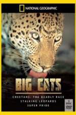 Watch National Geographic: Living With Big Cats Freemovieswatch
