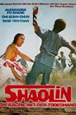 Watch The Shaolin Avengers Freemovieswatch