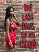 Watch The Last Days of an Escort Freemovieswatch