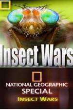 Watch National Geographic Insect Wars Freemovieswatch