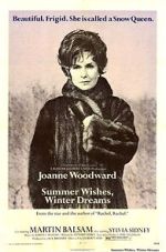 Watch Summer Wishes, Winter Dreams Freemovieswatch