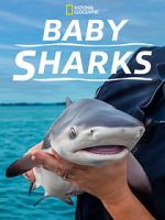 Watch Baby Sharks Freemovieswatch