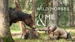 Watch Wild Horses, the Rockies and Me (TV Special 2025) Freemovieswatch