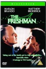 Watch The Freshman Freemovieswatch