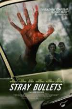 Watch Stray Bullets Freemovieswatch