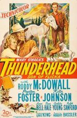 Watch Thunderhead: Son of Flicka Freemovieswatch