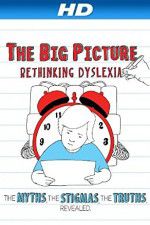 Watch The Big Picture Rethinking Dyslexia Freemovieswatch