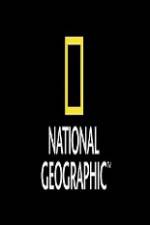 Watch National Geographic Wild Animal Attacks On Vacation Freemovieswatch