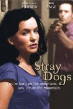 Watch Stray Dogs Freemovieswatch