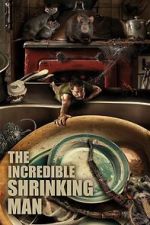 Watch The Shrinking Man Freemovieswatch