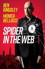 Watch Spider in the Web Freemovieswatch