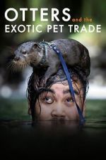 Watch Otters and the Exotic Pet Trade Freemovieswatch