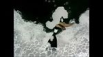 Watch Ain\'t that Ducky (Short 1945) Freemovieswatch