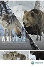 Watch Wolf vs Bear Freemovieswatch