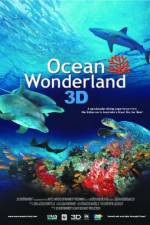 Watch Ocean Wonderland Freemovieswatch