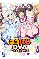Watch Nekopara OVA Extra Freemovieswatch