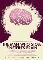 Watch The Man Who Stole Einstein\'s Brain Freemovieswatch