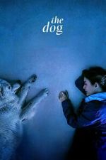 Watch The Dog Freemovieswatch