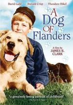 Watch A Dog of Flanders Freemovieswatch