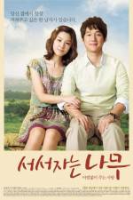 Watch Sleeping Tree Freemovieswatch