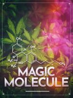 Watch Magic Molecule Freemovieswatch