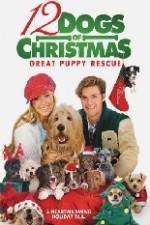 Watch 12 Dogs of Christmas Great Puppy Rescue Freemovieswatch