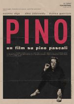 Watch Pino Freemovieswatch