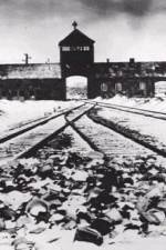 Watch AUSCHWITZ: CORRUPTION Freemovieswatch