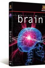 Watch The Brain Freemovieswatch
