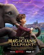 Watch The Magician's Elephant Freemovieswatch