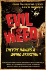 Watch Evil Weed Freemovieswatch
