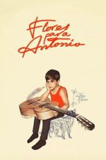 Watch Flores para Antonio Freemovieswatch