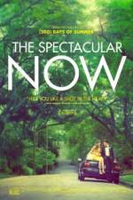 Watch The Spectacular Now Freemovieswatch