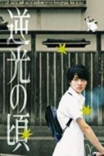 Watch Lights of Kyoto Freemovieswatch