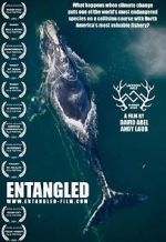 Watch Entangled: The Race to Save Right Whales from Extinction Freemovieswatch