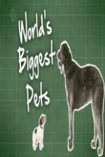 Watch World's Biggest Pets Freemovieswatch