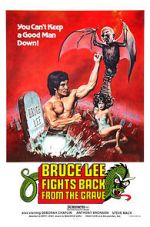 Watch Bruce Lee Fights Back from the Grave Freemovieswatch