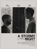 Watch A Stormy Night Freemovieswatch