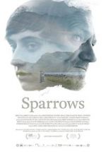 Watch Sparrows Freemovieswatch