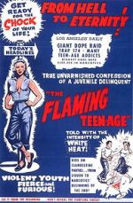 Watch The Flaming Teenage Freemovieswatch
