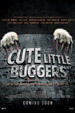 Watch Cute Little Buggers Freemovieswatch
