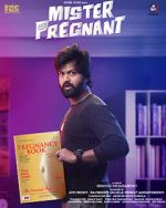Watch Mr. Pregnant Freemovieswatch