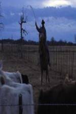 Watch Cowboy Christmas Freemovieswatch