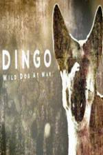 Watch Dingo Wild Dog at War Freemovieswatch